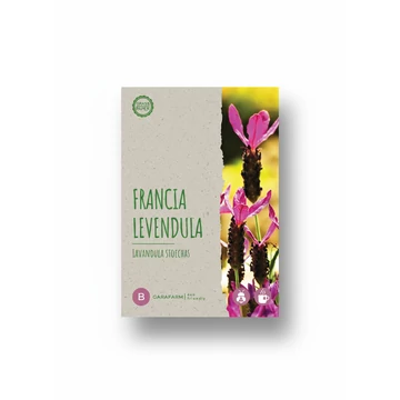 ECO Francia levendula - Bandera Deep Rose  10	szem