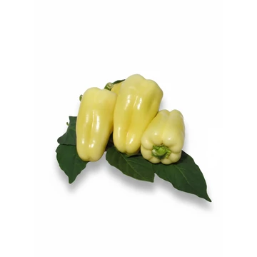MG Táltos paprika 1000 szem