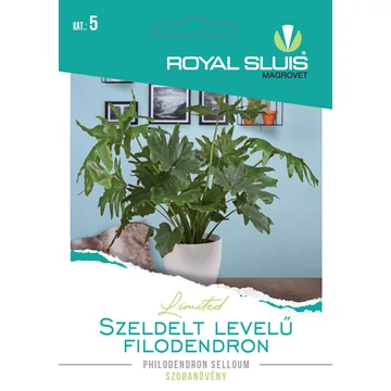 RS Limited Szobanövény Szeldelt Levelű Filodendron 16 szem
