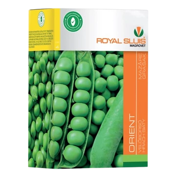 RS Borsó Orient 400 g