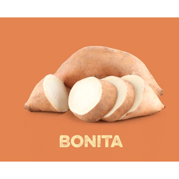 MP Édesburgonya Palánta - Bonita