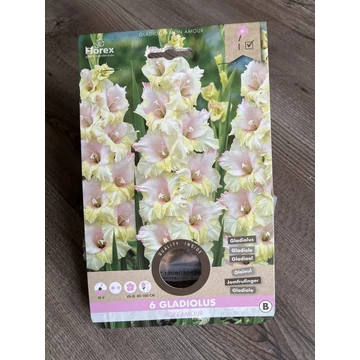 Tavaszi VH Pure Gladiolus	Mon Amour