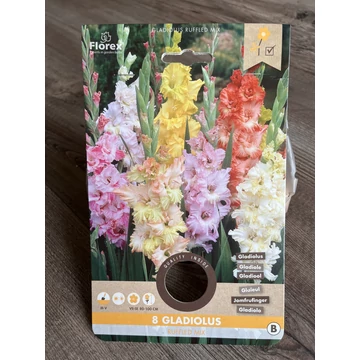 Tavaszi VH Pure Gladiolus Ruffled Selected mix 