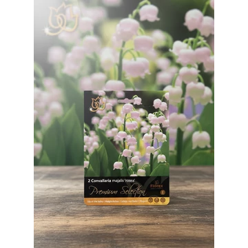 Tavaszi VH Premium	Convallaria Rosea I