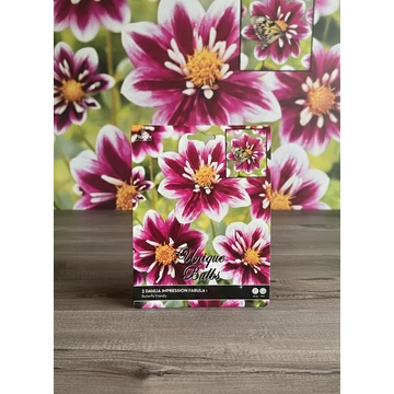 Tavaszi VH Premium Dahlia Impression Fabula I