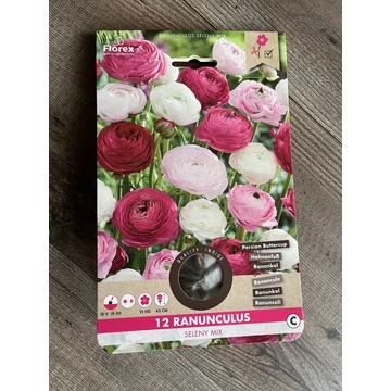 Tavaszi VH Pure Ranunculus Seleny mix