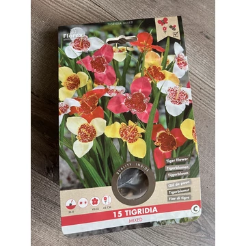 Tavaszi VH Pure Tigridia mixed 