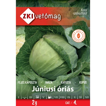 ZKI Fejeskáposzta Júniusi óriás 2 g