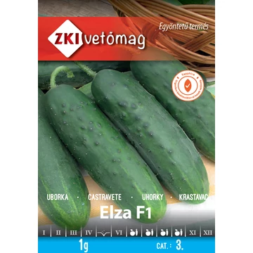 ZKI Uborka Elza F1 1 g