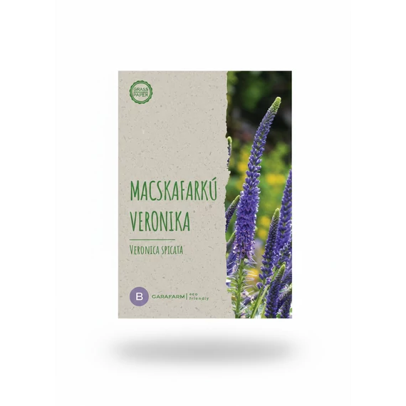 ECO Macskafarkú veronika - Blue   0,03	g