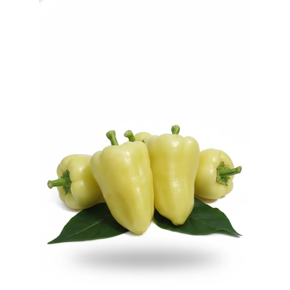 MG Albaregia paprika 1000 szem