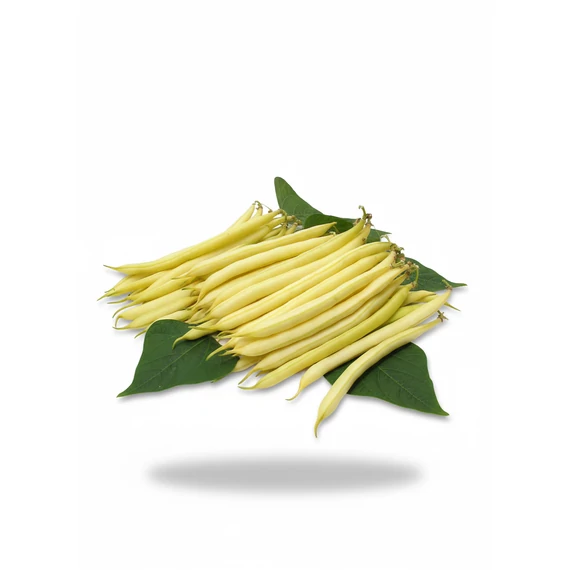 MG Bodor bokorbab 1000 g