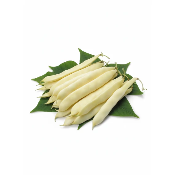 MG Capitano bokorbab 1000 g