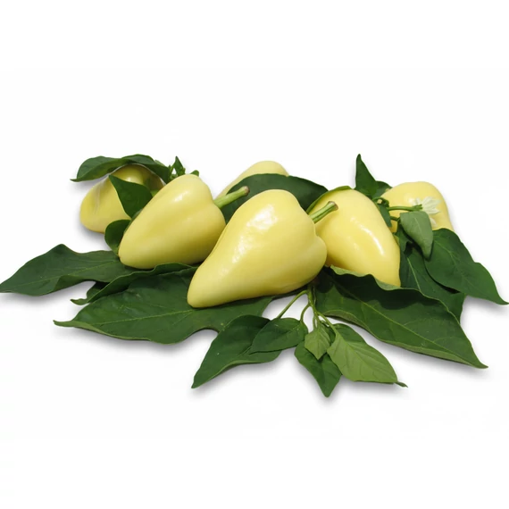 MG Javított bogyiszlói paprika 1000 szem