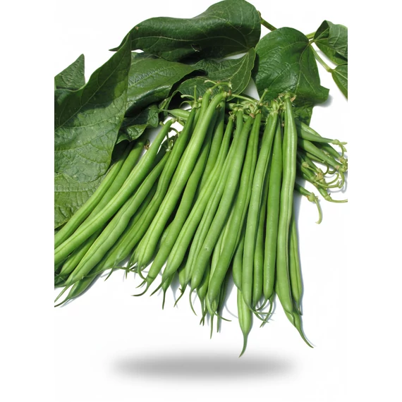 MG Paulista bokorbab 1000 g