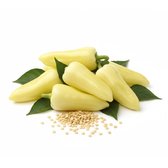 MG Szintetikus Cecei 1000 szem