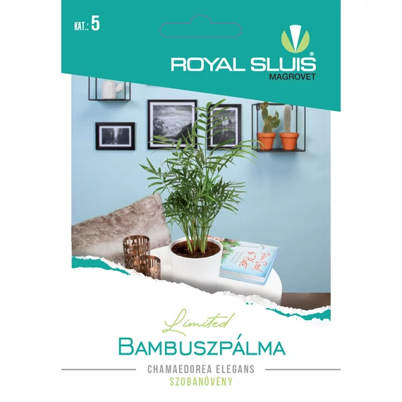 RS Limited Szobanövény Bambuszpálma  15 szem