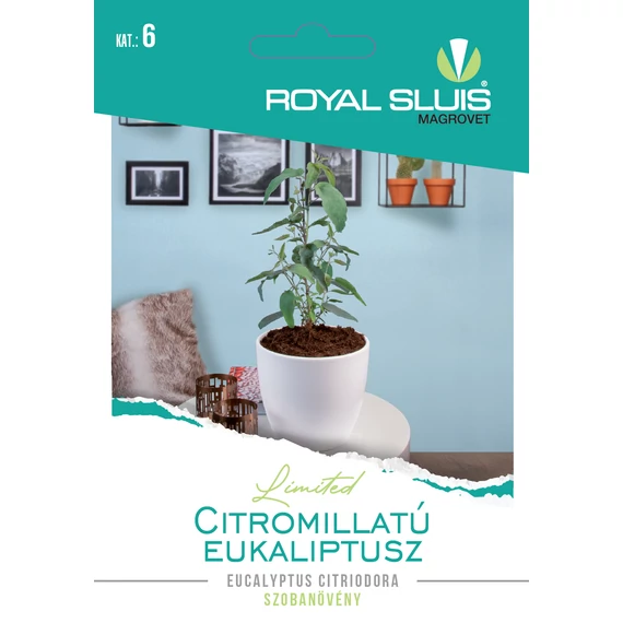RS Limited Szobanövény Citromillatú Eukaliptusz 10 szem