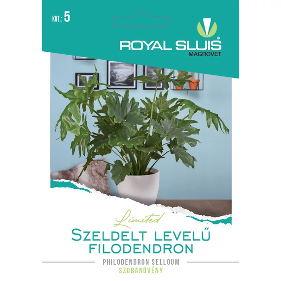 RS Limited Szobanövény Szeldelt Levelű Filodendron 16 szem
