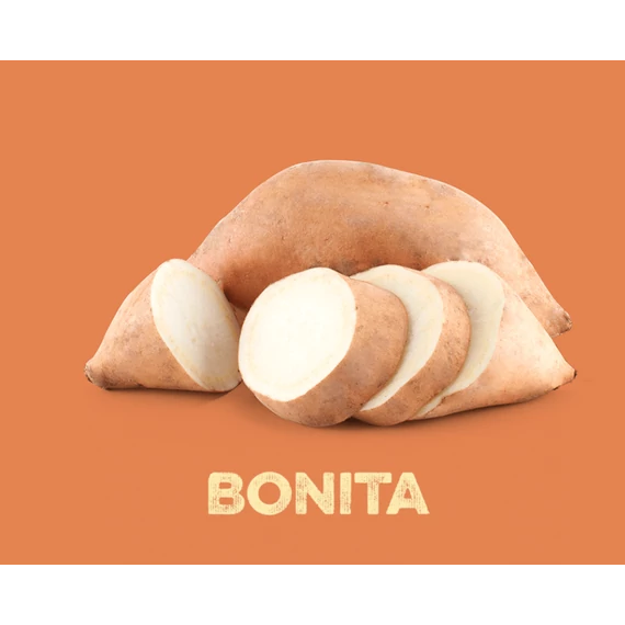MP Édesburgonya Palánta - Bonita