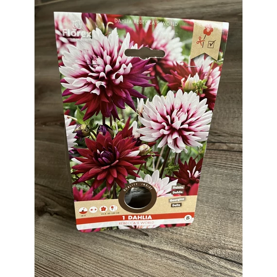 Tavaszi VH Pure Dahlia Rebecca's World I