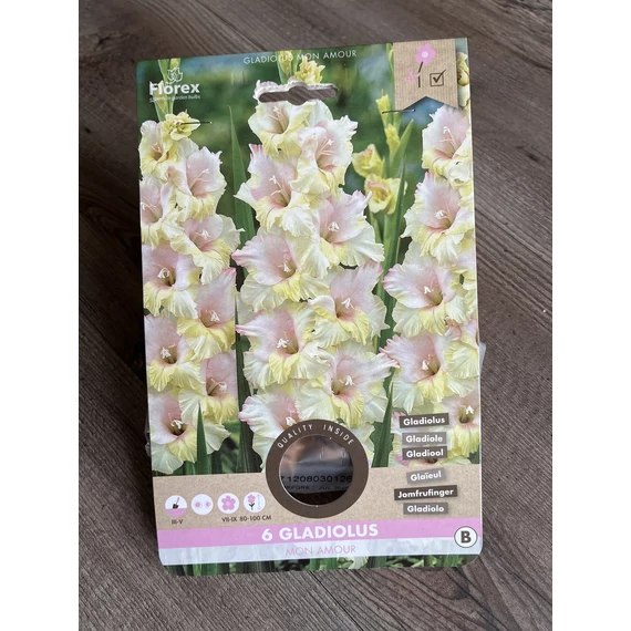 Tavaszi VH PureGladiolus	Mon Amour