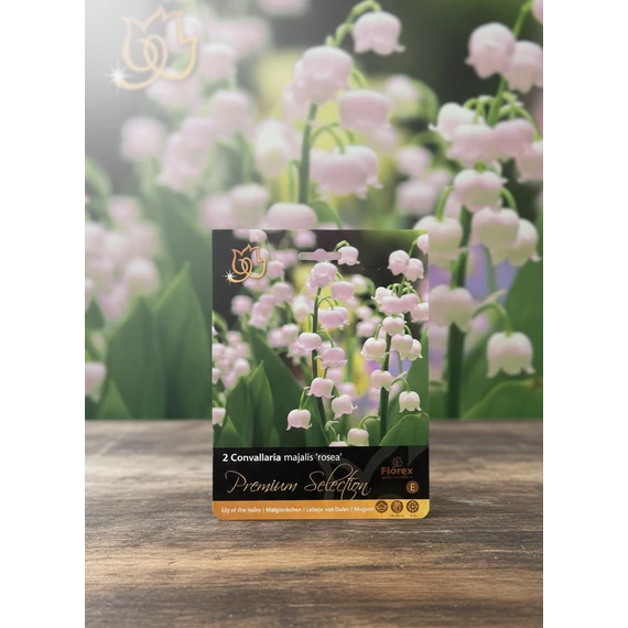 Tavaszi VH Premium	Convallaria Rosea I
