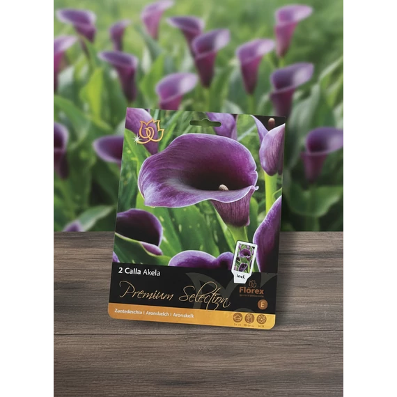 Tavaszi VH Premium	Calla Akela 14/16