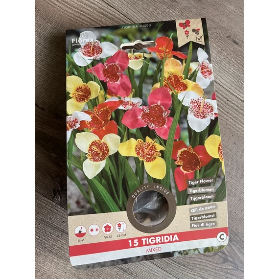 Tavaszi VH Pure Tigridia mixed 