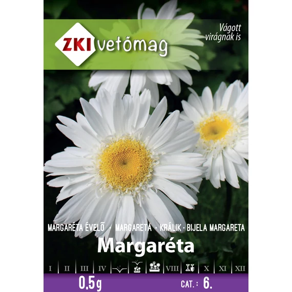 ZKI Virág  Évelő fehér margaréta Maikönig 0,5 g