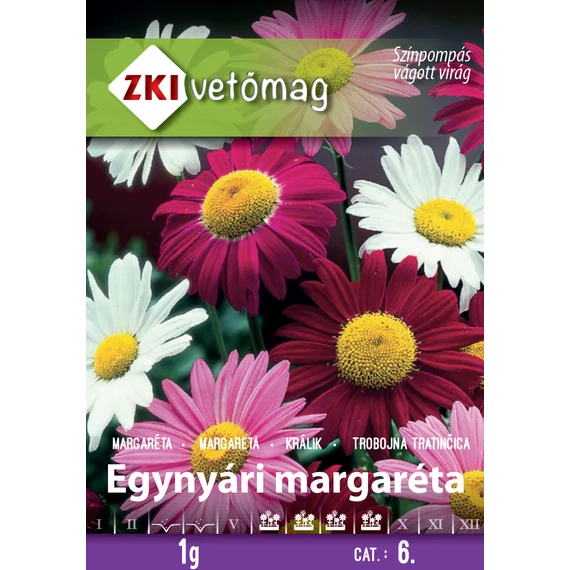 ZKI Virág Egynyári margaréta Színkeverék 1 g