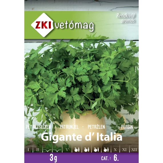 ZKI Metélőpetrezselyem Gigante d' Italia  3 g