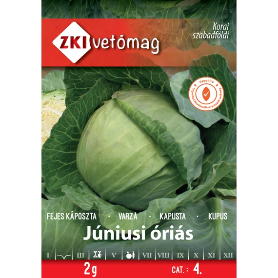 ZKI Fejeskáposzta Júniusi óriás 2 g