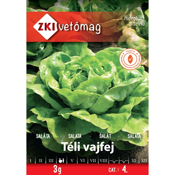 ZKI Fejes saláta Téli vajfej 3 g
