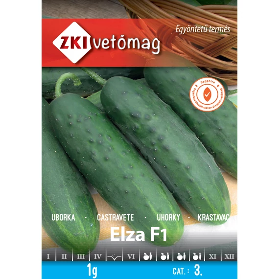ZKI Uborka Elza F1 1 g