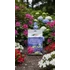 Rhodo 1