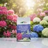 DCM BIO növénytáp azáleához, rhododendronhoz és hortenziához ( 0.65 kg )