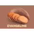 MP Édesburgonya Palánta - Evangeline