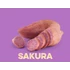 MP Édesburgonya Palánta - Sakura