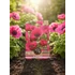 anemone1