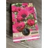 Tavaszi VH Pure Anemone Sylphide