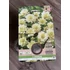 Tavaszi VH Pure Dahlia Berliner Lemon