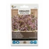 Buzzy Bio Karalábébcsíra 10 g